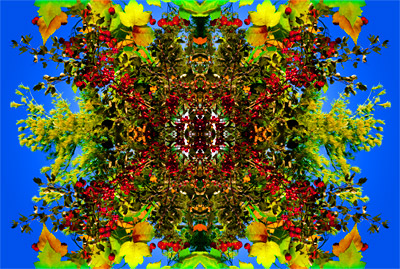 XMAS-benefit-print-FINAL-small.jpg