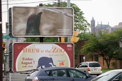 blog_Pigeon_billboard.jpg