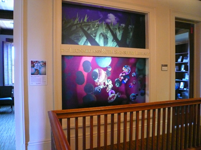 blog_SUSymposium_windows.jpg